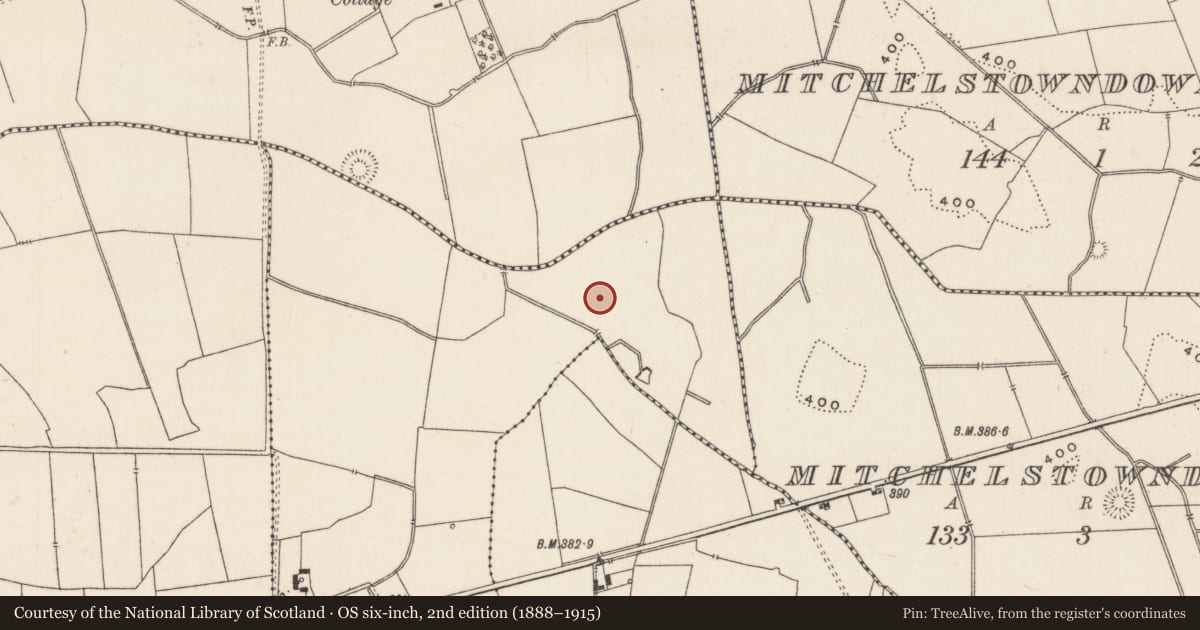 Ordnance Survey six-inch map, 2nd edition (1888–1915) covering the location of Barrow - ditch barrow, Cloghast, County Limerick, with a pin at the register's coordinates