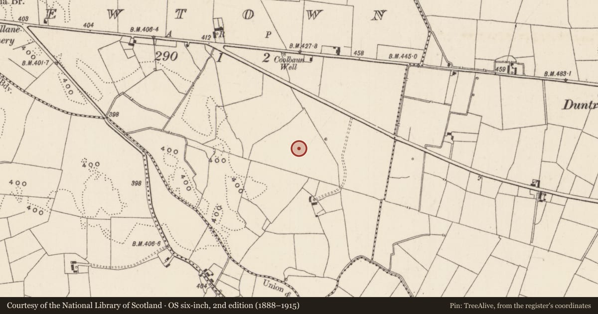 Ordnance Survey six-inch map, 2nd edition (1888–1915) covering the location of Barrow - ditch barrow, Newtown, County Limerick, with a pin at the register's coordinates