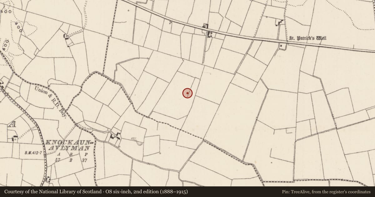 Ordnance Survey six-inch map, 2nd edition (1888–1915) covering the location of Barrow - ditch barrow, Duntryleague, County Limerick, with a pin at the register's coordinates