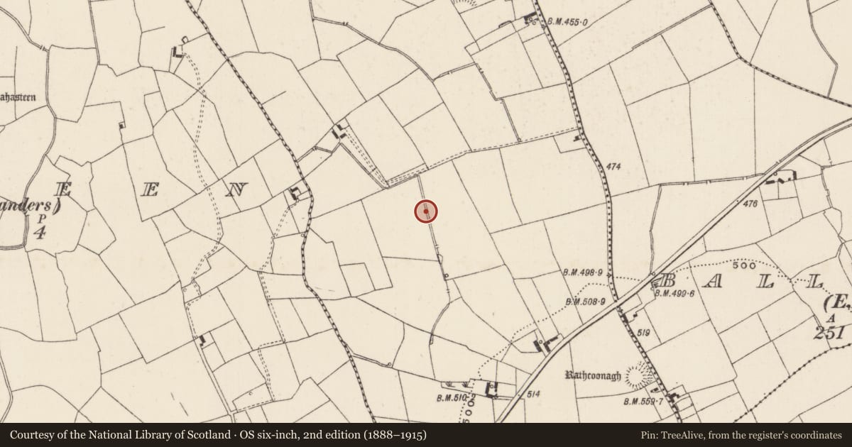 Ordnance Survey six-inch map, 2nd edition (1888–1915) covering the location of Barrow - ditch barrow, Spittle, County Limerick, with a pin at the register's coordinates
