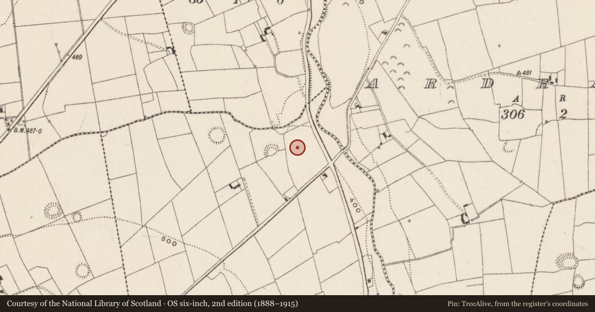Ordnance Survey six-inch map, 2nd edition (1888–1915) covering the location of Standing stone - pair, Garrynalyna, County Limerick, with a pin at the register's coordinates