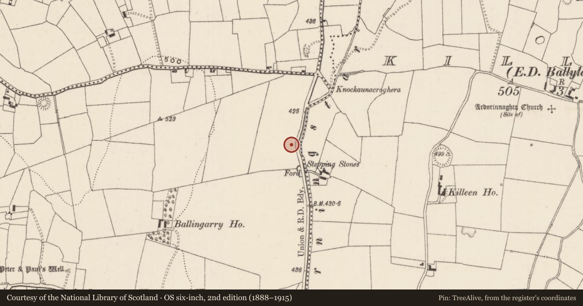 Ordnance Survey six-inch map, 2nd edition (1888–1915) covering the location of Standing stone, Ballingarry, County Limerick, with a pin at the register's coordinates