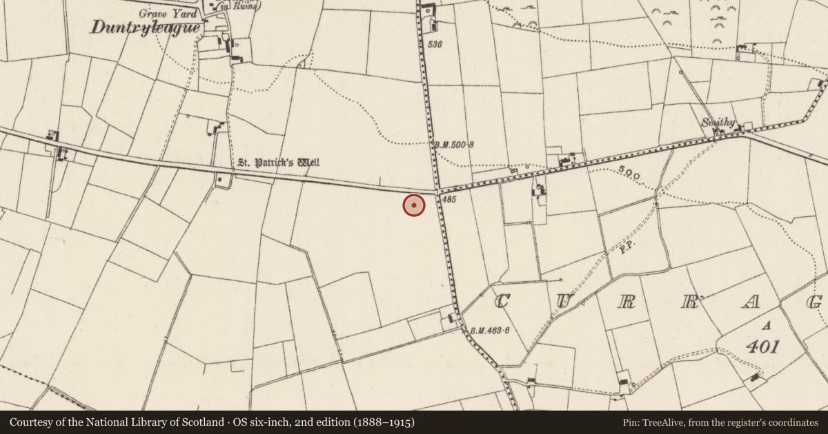 Ordnance Survey six-inch map, 2nd edition (1888–1915) covering the location of Standing stone, Duntryleague, County Limerick, with a pin at the register's coordinates