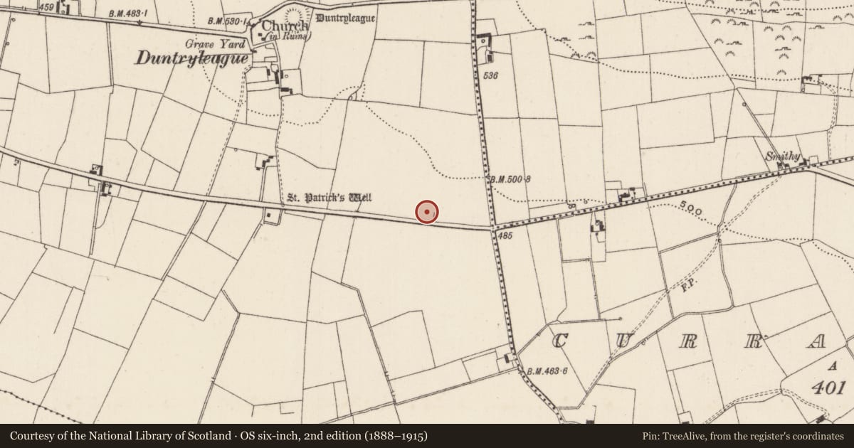 Ordnance Survey six-inch map, 2nd edition (1888–1915) covering the location of Standing stone, Duntryleague, County Limerick, with a pin at the register's coordinates