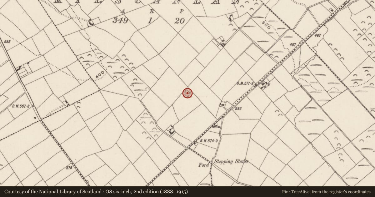 Ordnance Survey six-inch map, 2nd edition (1888–1915) covering the location of Enclosure, Kilscanlan, County Limerick, with a pin at the register's coordinates