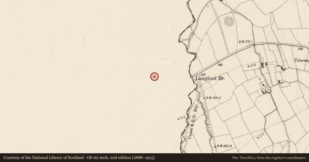 Ordnance Survey six-inch map, 2nd edition (1888–1915) covering the location of Castle - unclassified, Knockanebrack, County Limerick, with a pin at the register's coordinates