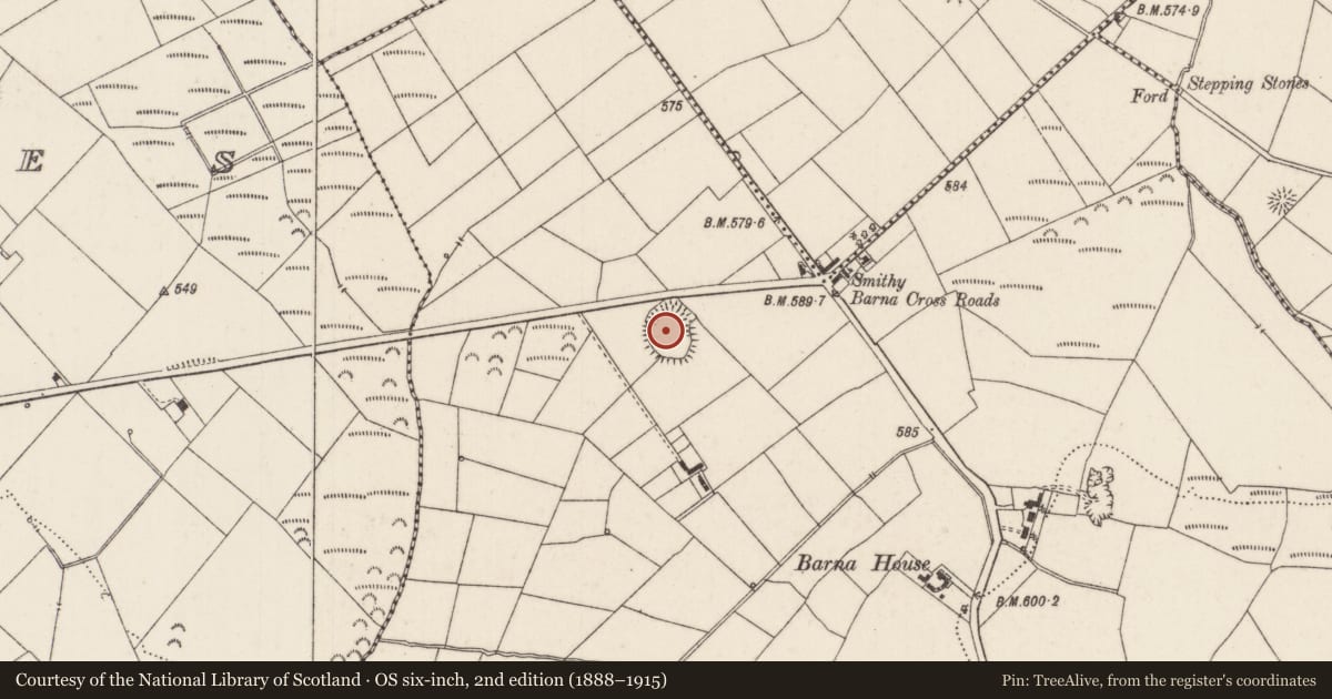 Ordnance Survey six-inch map, 2nd edition (1888–1915) covering the location of Enclosure, Barna, County Limerick, with a pin at the register's coordinates