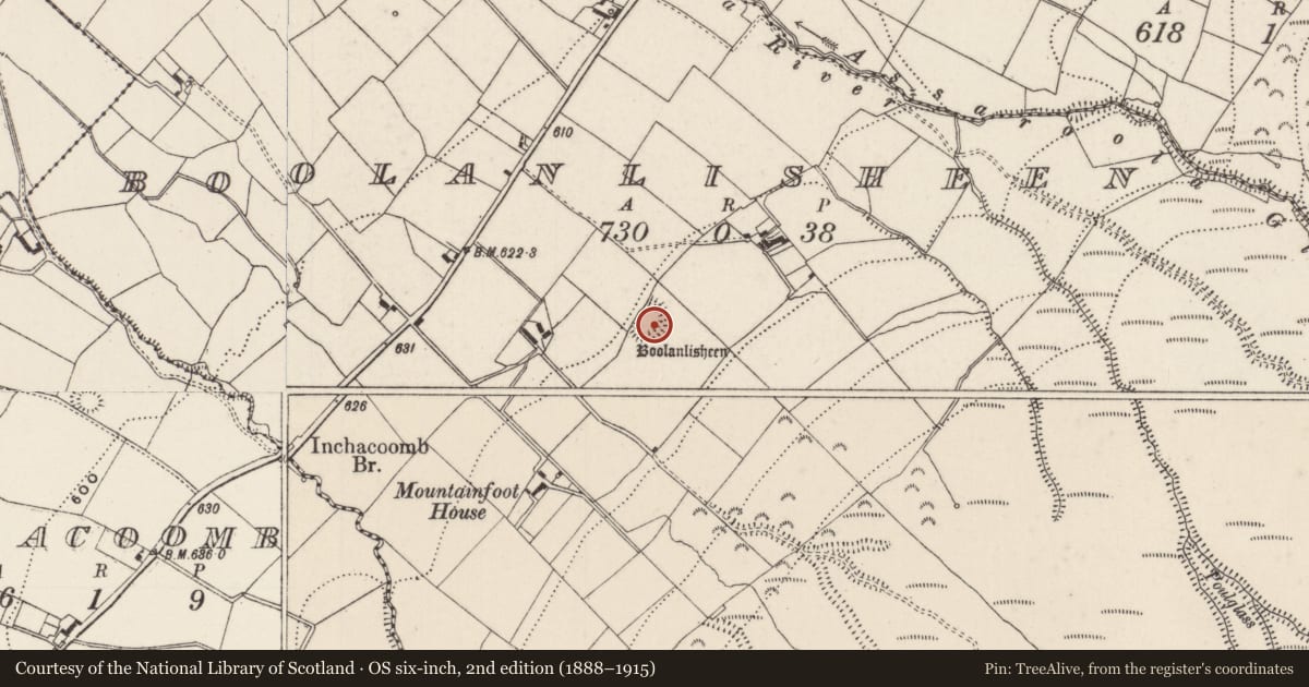 Ordnance Survey six-inch map, 2nd edition (1888–1915) covering the location of Ringfort - rath, Boolanlisheen, County Limerick, with a pin at the register's coordinates