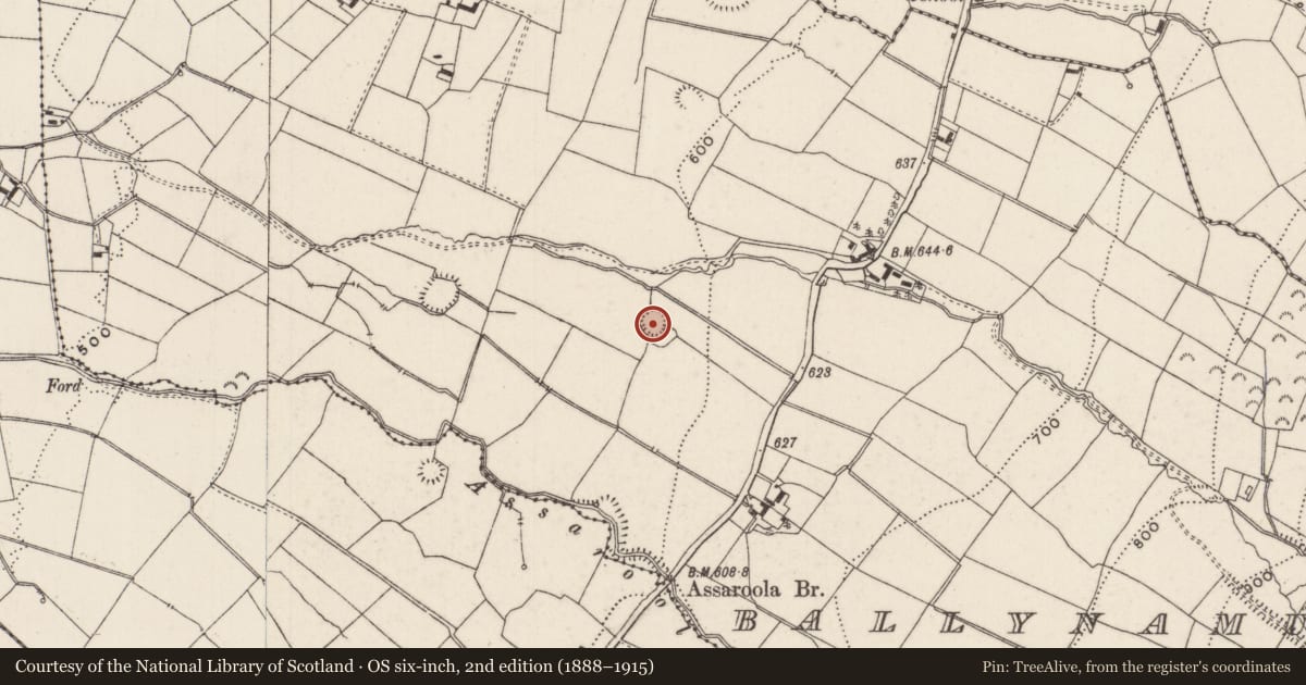 Ordnance Survey six-inch map, 2nd edition (1888–1915) covering the location of Ringfort - rath, Ballynamuddagh, County Limerick, with a pin at the register's coordinates