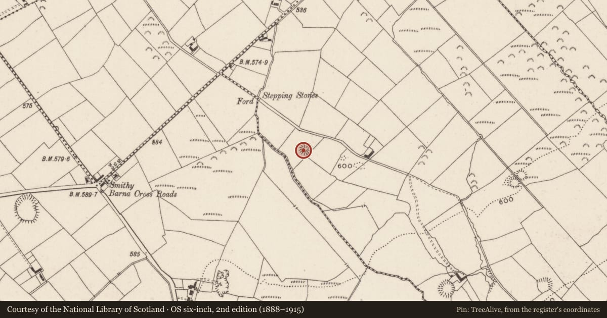 Ordnance Survey six-inch map, 2nd edition (1888–1915) covering the location of Ringfort - rath, Baunteen, County Limerick, with a pin at the register's coordinates