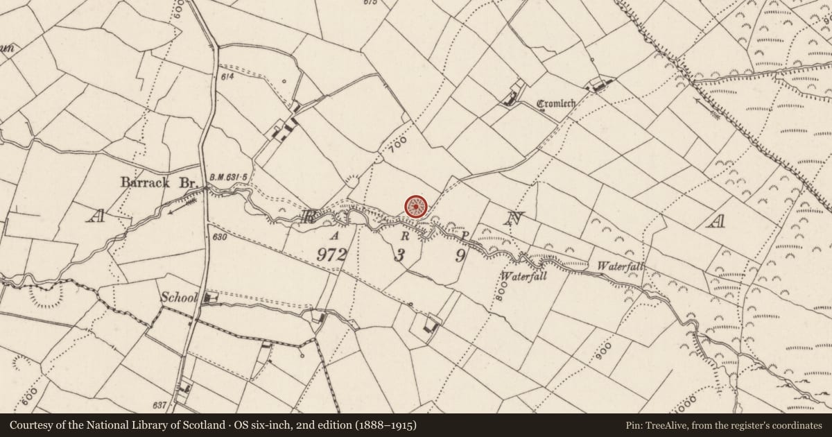 Ordnance Survey six-inch map, 2nd edition (1888–1915) covering the location of Ringfort - rath, Barna, County Limerick, with a pin at the register's coordinates