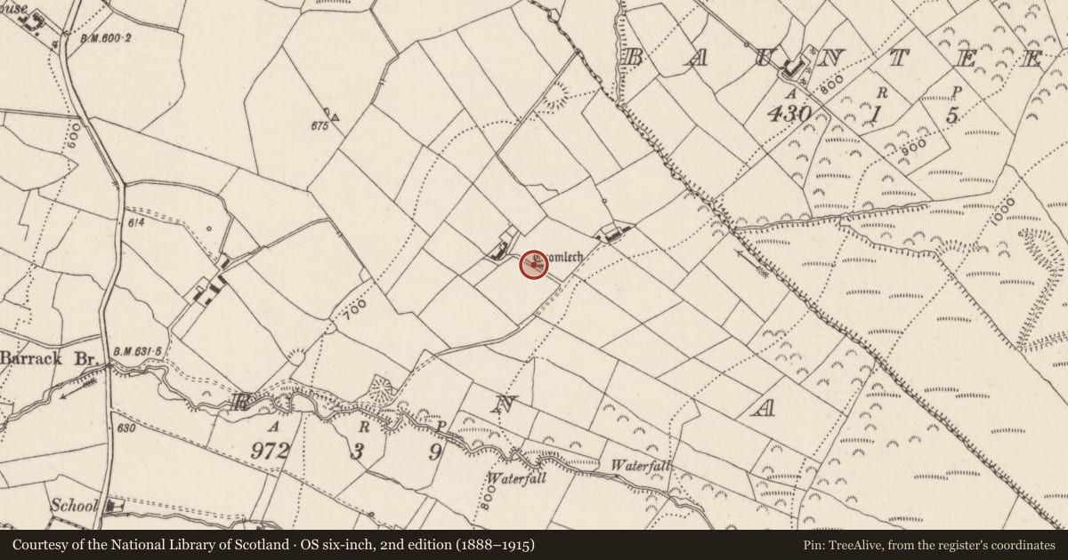 Ordnance Survey six-inch map, 2nd edition (1888–1915) covering the location of Megalithic tomb - portal tomb, Barna, County Limerick, with a pin at the register's coordinates