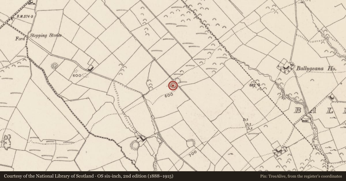 Ordnance Survey six-inch map, 2nd edition (1888–1915) covering the location of Enclosure, Baunteen, County Limerick, with a pin at the register's coordinates