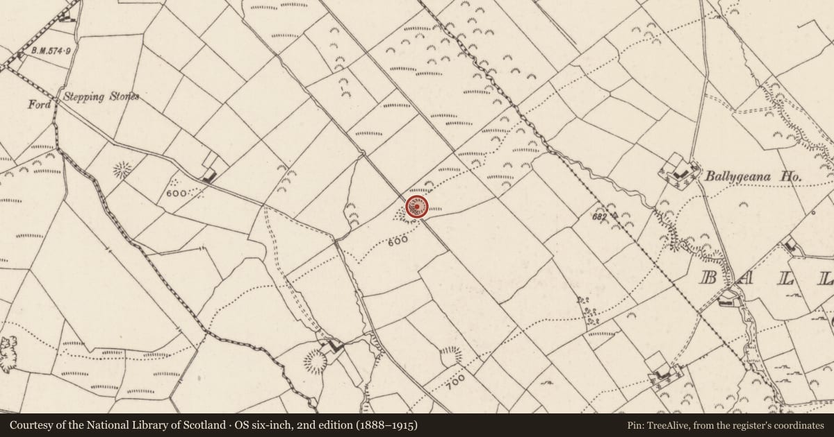 Ordnance Survey six-inch map, 2nd edition (1888–1915) covering the location of Enclosure, Baunteen, County Limerick, with a pin at the register's coordinates