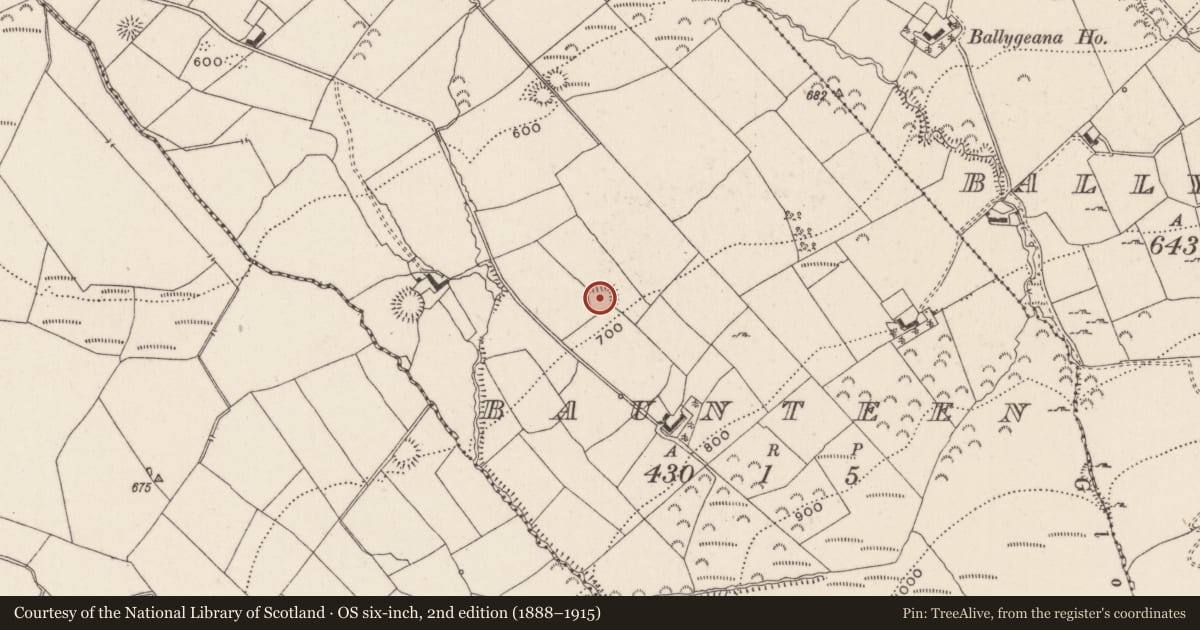 Ordnance Survey six-inch map, 2nd edition (1888–1915) covering the location of Ringfort - rath, Baunteen, County Limerick, with a pin at the register's coordinates