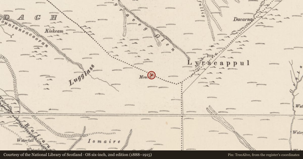 Ordnance Survey six-inch map, 2nd edition (1888–1915) covering the location of Cairn - boundary cairn, Ballynamuddagh, Barna, County Limerick, with a pin at the register's coordinates