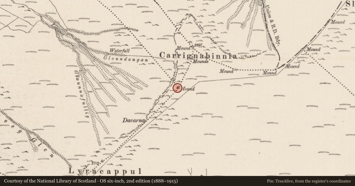 Ordnance Survey six-inch map, 2nd edition (1888–1915) covering the location of Cairn - boundary cairn, County Limerick, with a pin at the register's coordinates