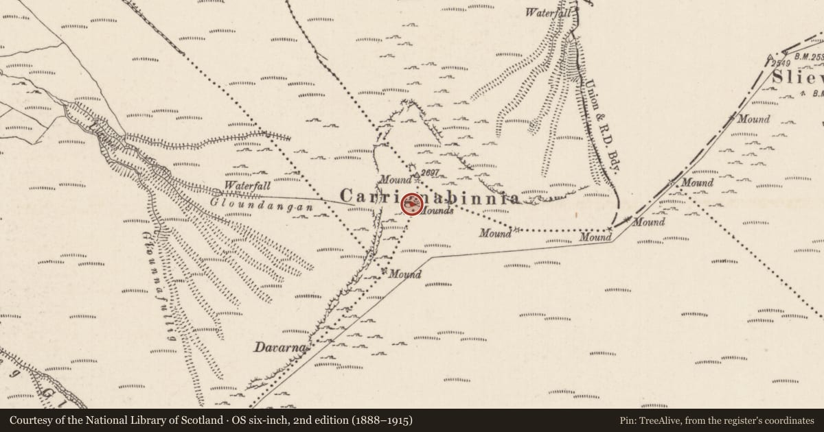 Ordnance Survey six-inch map, 2nd edition (1888–1915) covering the location of Cairn - boundary cairn, Carrigeen Mountain, Baunteen, County Limerick, with a pin at the register's coordinates