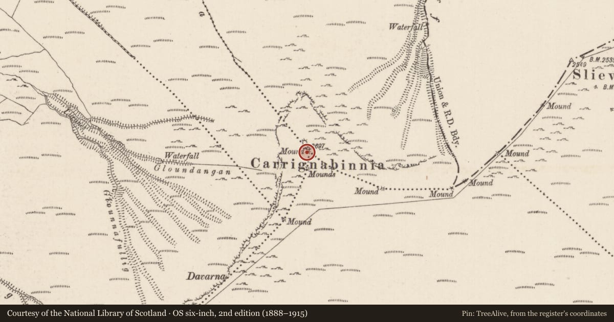 Ordnance Survey six-inch map, 2nd edition (1888–1915) covering the location of Cairn - boundary cairn, County Limerick, with a pin at the register's coordinates