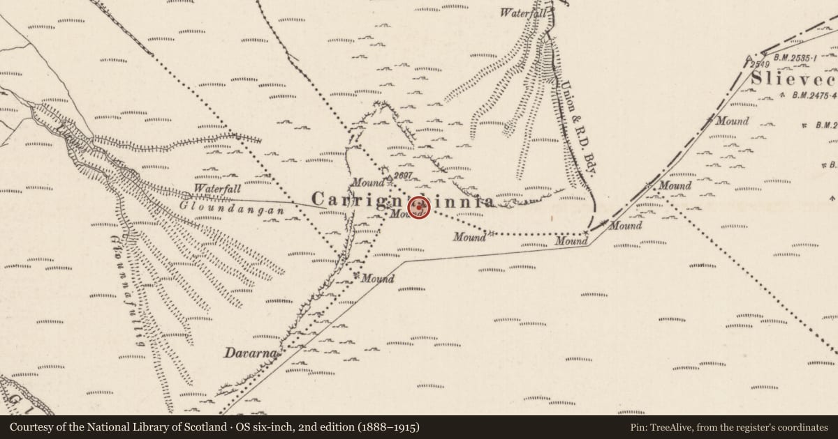 Ordnance Survey six-inch map, 2nd edition (1888–1915) covering the location of Cairn - boundary cairn, Ballygeana, Carrigeen Mountain, County Limerick, with a pin at the register's coordinates