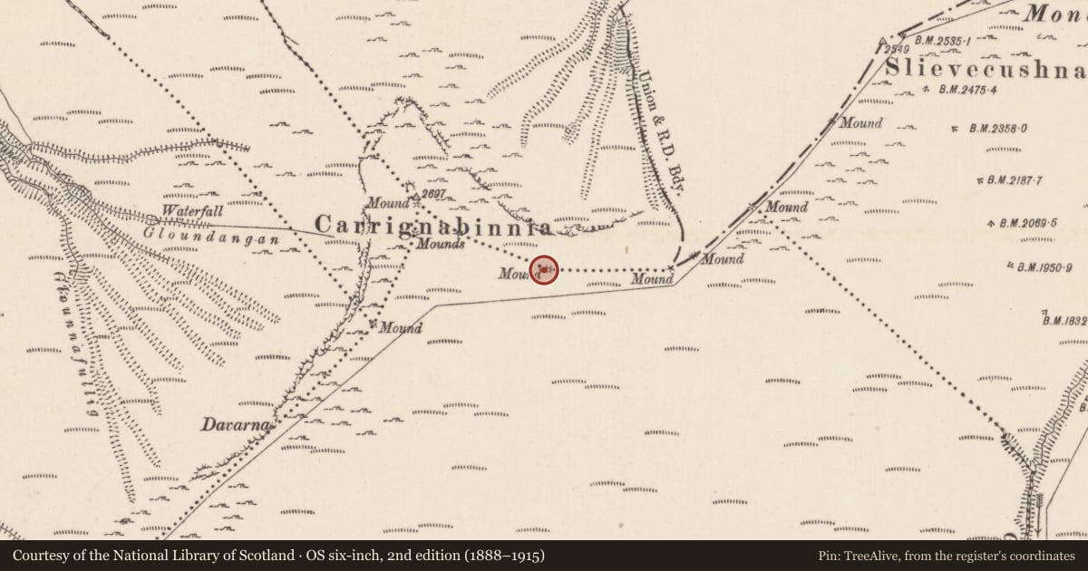 Ordnance Survey six-inch map, 2nd edition (1888–1915) covering the location of Cairn - boundary cairn, Ballygeana, Carrigeen Mountain, County Limerick, with a pin at the register's coordinates