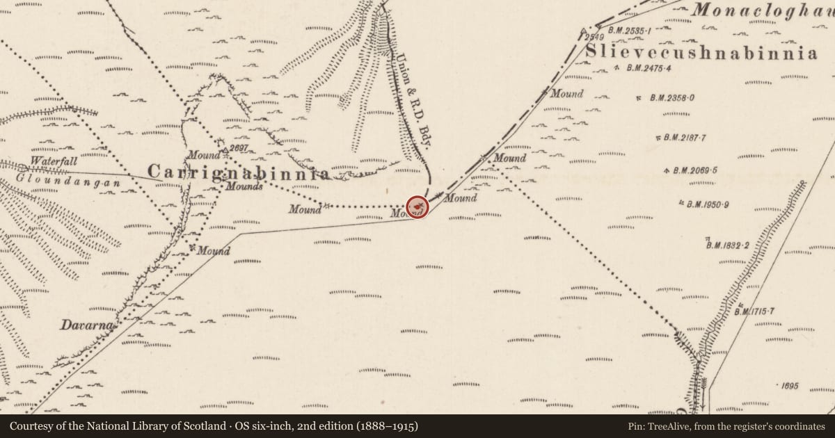 Ordnance Survey six-inch map, 2nd edition (1888–1915) covering the location of Cairn - boundary cairn, Ballygeana, Carrigeen Mountain, County Limerick, with a pin at the register's coordinates