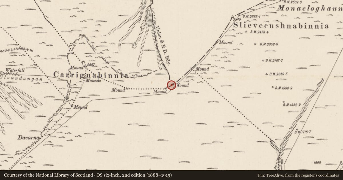 Ordnance Survey six-inch map, 2nd edition (1888–1915) covering the location of Cairn - boundary cairn, Carrigeen Mountain, Lyre, County Limerick, with a pin at the register's coordinates