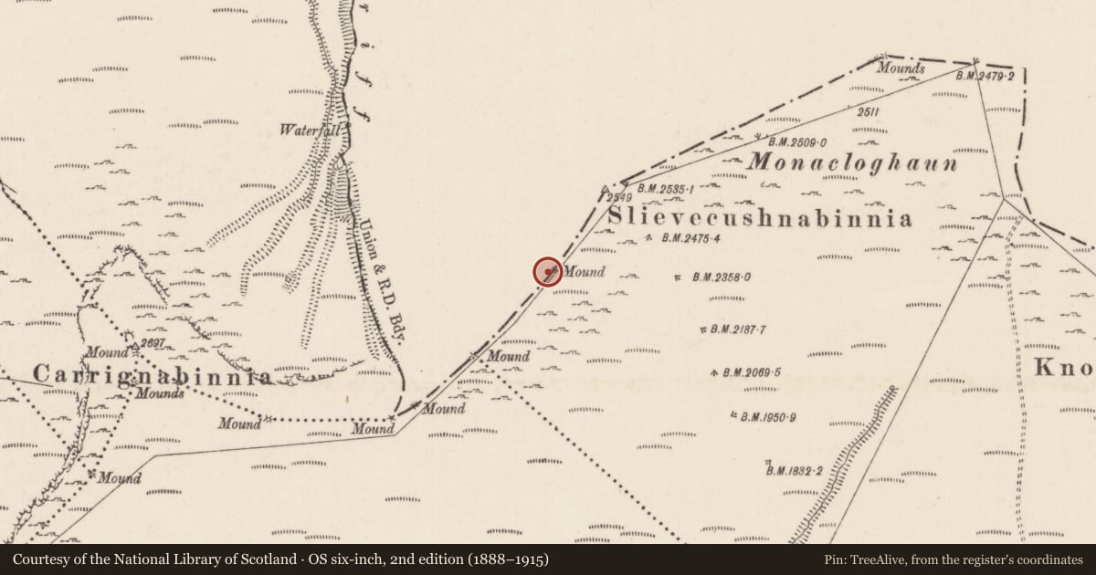 Ordnance Survey six-inch map, 2nd edition (1888–1915) covering the location of Cairn - boundary cairn, Lyre, Knocknagalty, County Limerick, with a pin at the register's coordinates