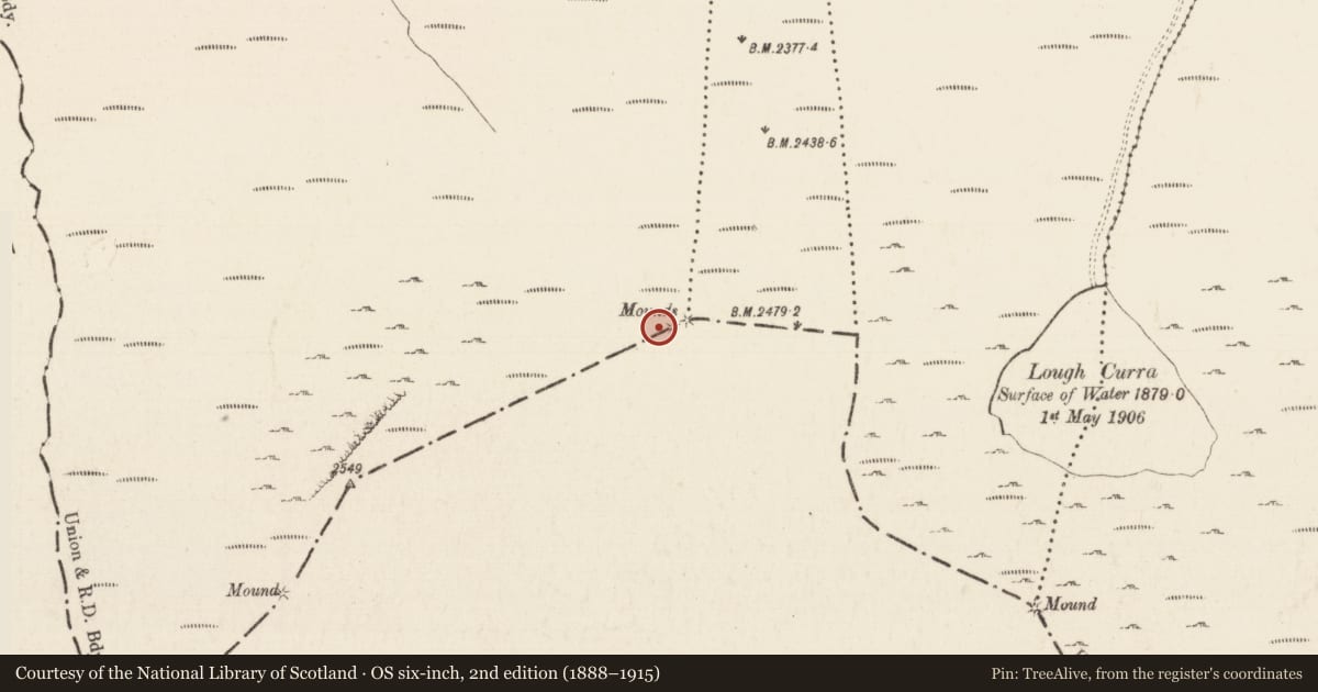 Ordnance Survey six-inch map, 2nd edition (1888–1915) covering the location of Cairn - boundary cairn, Lyre, Knocknagalty, County Limerick, with a pin at the register's coordinates