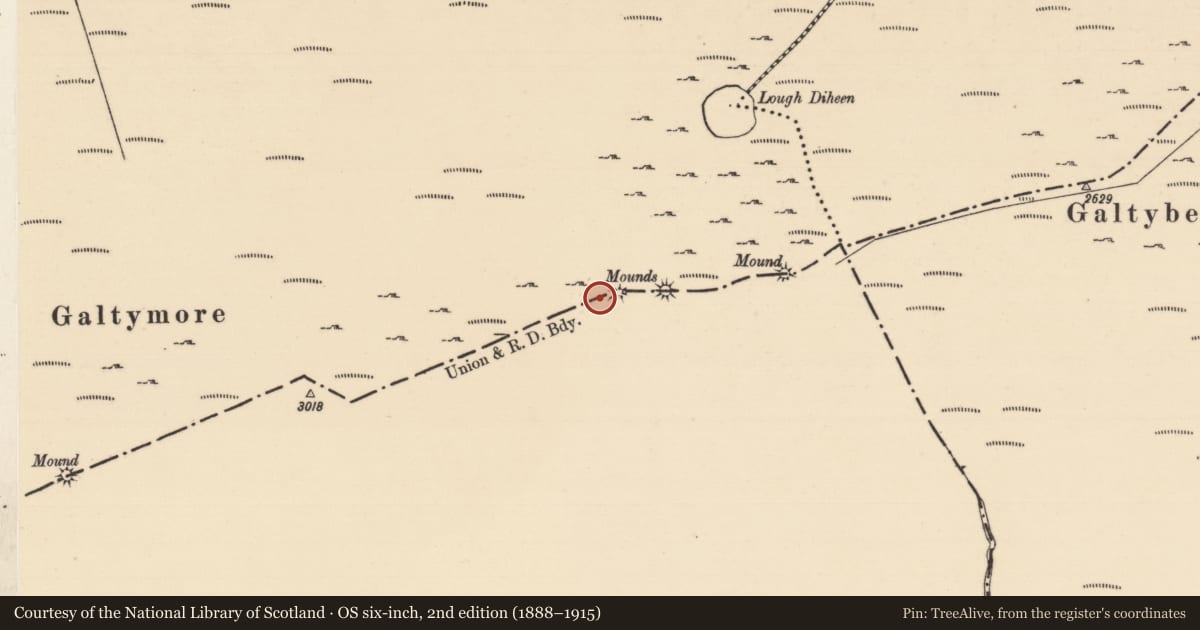 Ordnance Survey six-inch map, 2nd edition (1888–1915) covering the location of Cairn - boundary cairn, Drumleagh, Knocknagalty, County Limerick, with a pin at the register's coordinates
