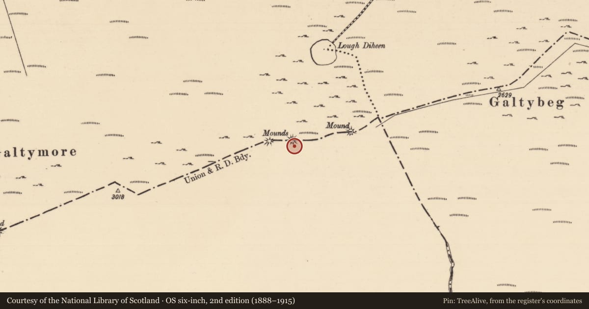 Ordnance Survey six-inch map, 2nd edition (1888–1915) covering the location of Cairn - boundary cairn, Drumleagh, Knocknagalty, County Limerick, with a pin at the register's coordinates