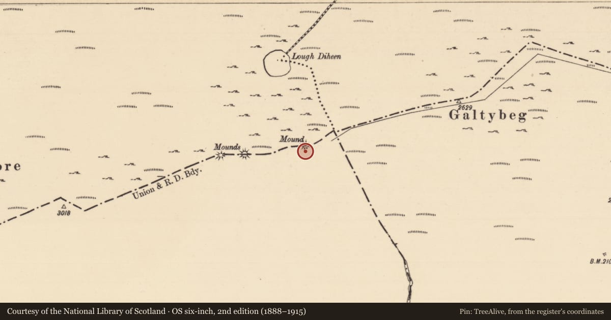 Ordnance Survey six-inch map, 2nd edition (1888–1915) covering the location of Cairn - boundary cairn, Drumleagh, Knocknagalty, County Limerick, with a pin at the register's coordinates
