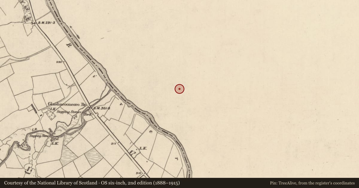 Ordnance Survey six-inch map, 2nd edition (1888–1915) covering the location of Moated site, Caher (Lane), County Limerick, with a pin at the register's coordinates