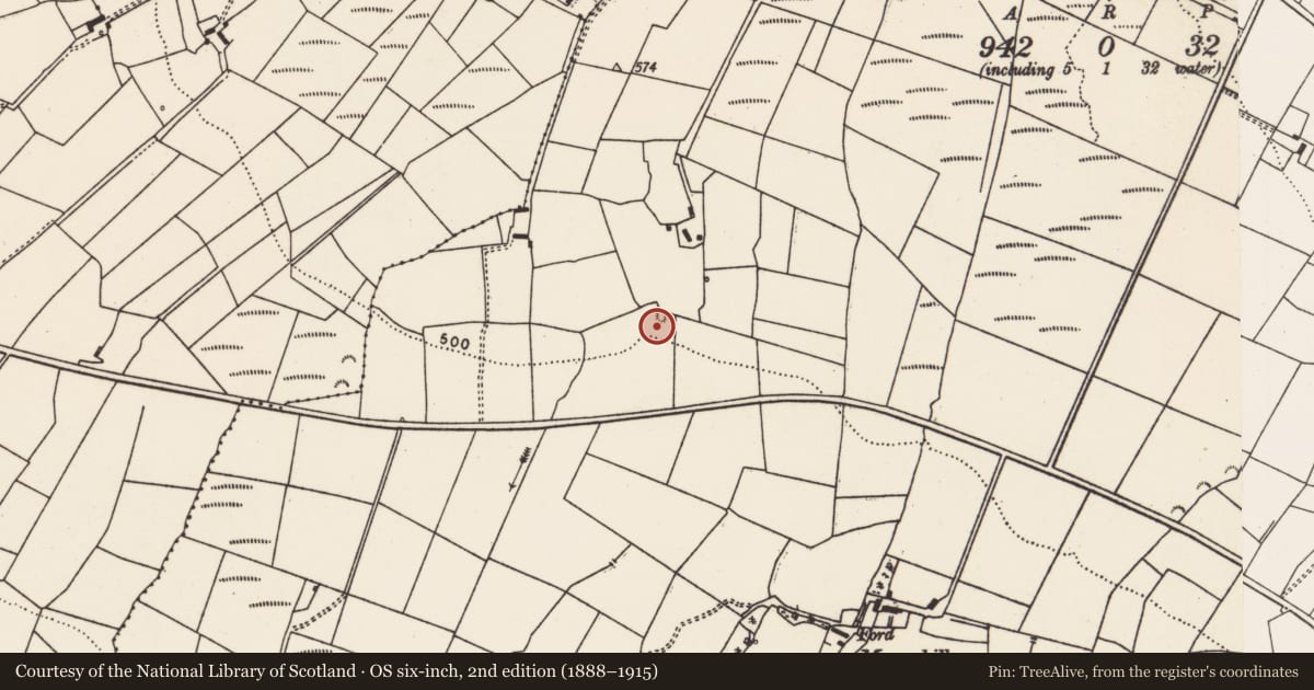 Ordnance Survey six-inch map, 2nd edition (1888–1915) covering the location of Fulacht fia, Caher (Connell), County Limerick, with a pin at the register's coordinates