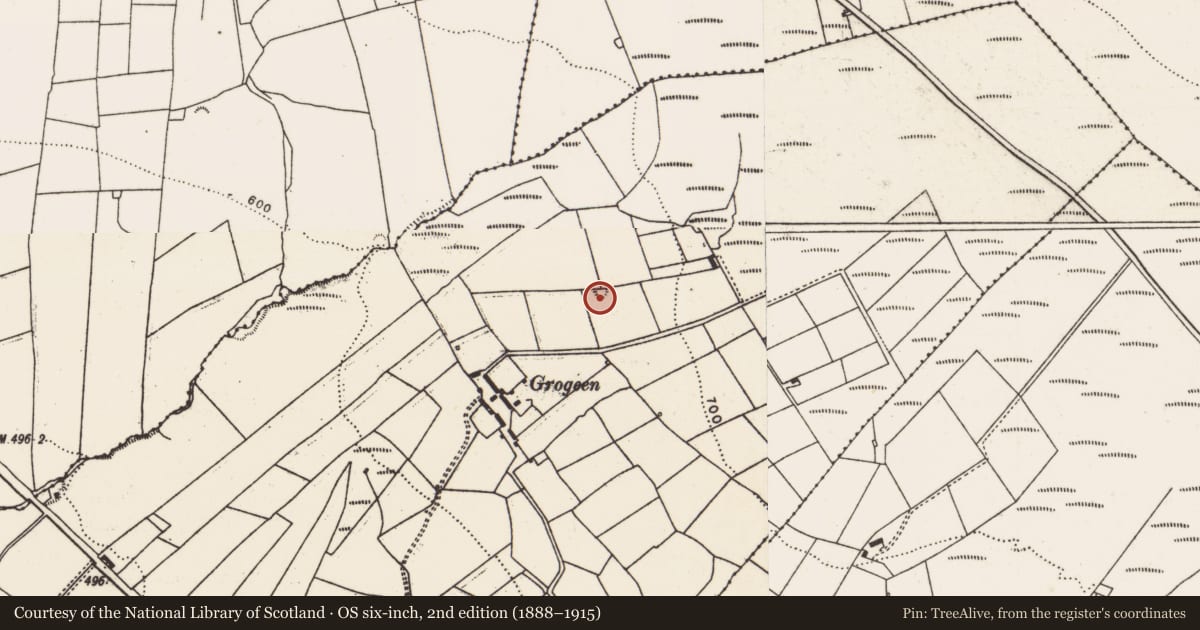 Ordnance Survey six-inch map, 2nd edition (1888–1915) covering the location of Fulacht fia, Caher (Lane), County Limerick, with a pin at the register's coordinates