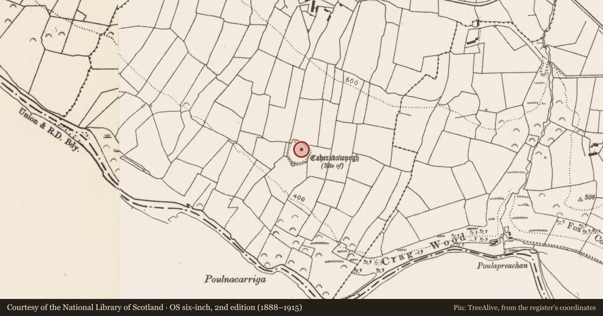 Ordnance Survey six-inch map, 2nd edition (1888–1915) covering the location of Ringfort - rath, Caher (Hayes), County Limerick, with a pin at the register's coordinates