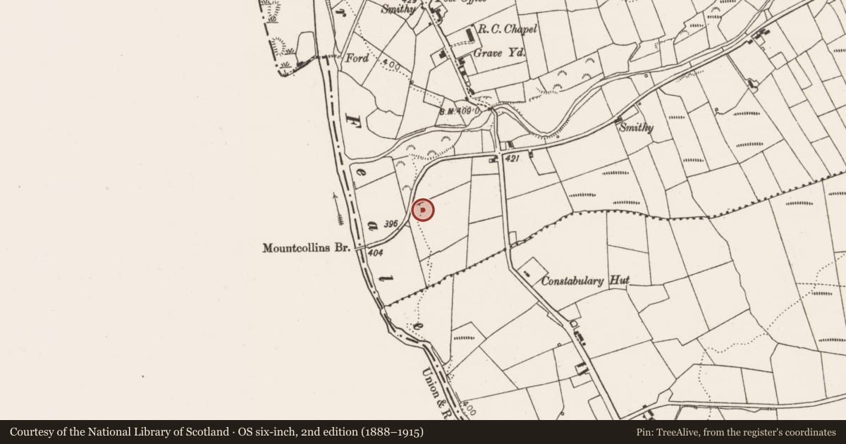Ordnance Survey six-inch map, 2nd edition (1888–1915) covering the location of Enclosure, Mountcollins, County Limerick, with a pin at the register's coordinates
