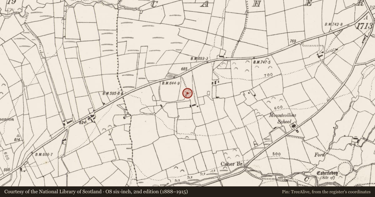 Ordnance Survey six-inch map, 2nd edition (1888–1915) covering the location of Fulacht fia, Caherlevoy, County Limerick, with a pin at the register's coordinates