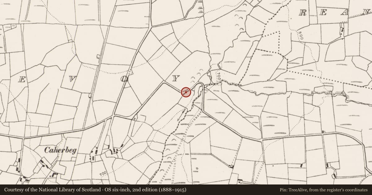 Ordnance Survey six-inch map, 2nd edition (1888–1915) covering the location of Ritual site - holy well, Caherlevoy, County Limerick, with a pin at the register's coordinates
