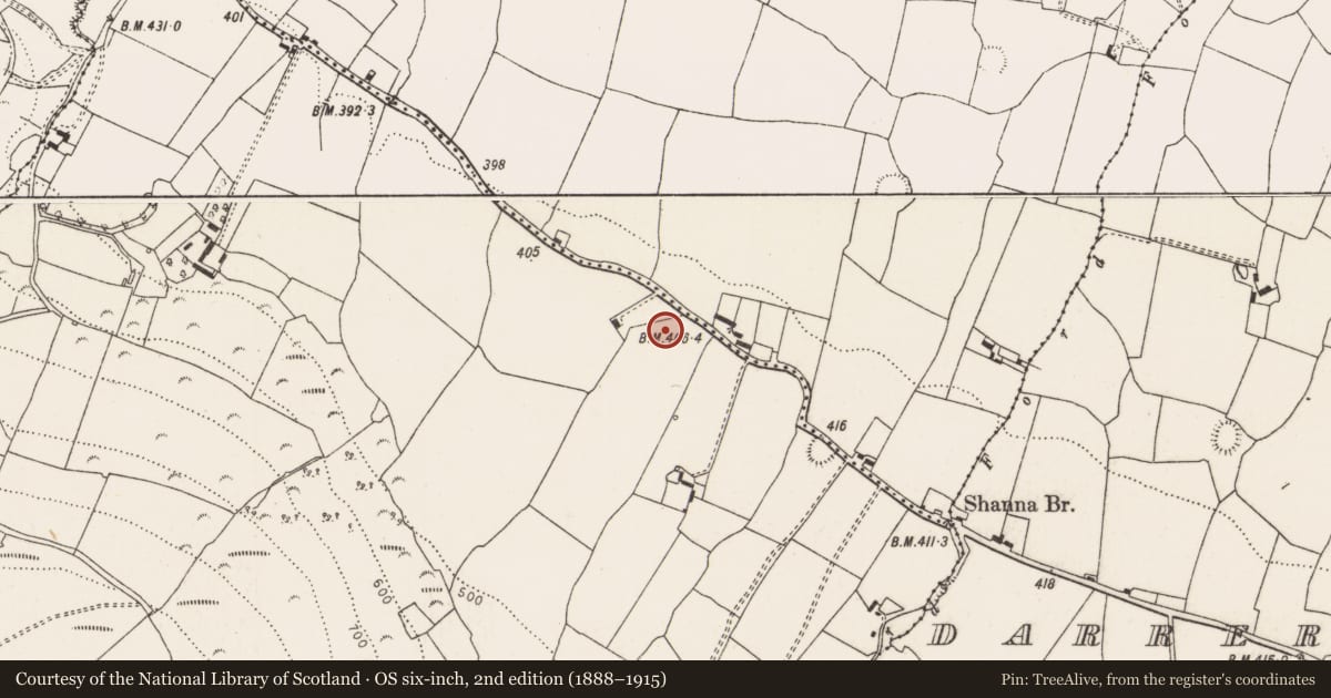 Ordnance Survey six-inch map, 2nd edition (1888–1915) covering the location of Ringfort - rath, Mauricetown, County Limerick, with a pin at the register's coordinates