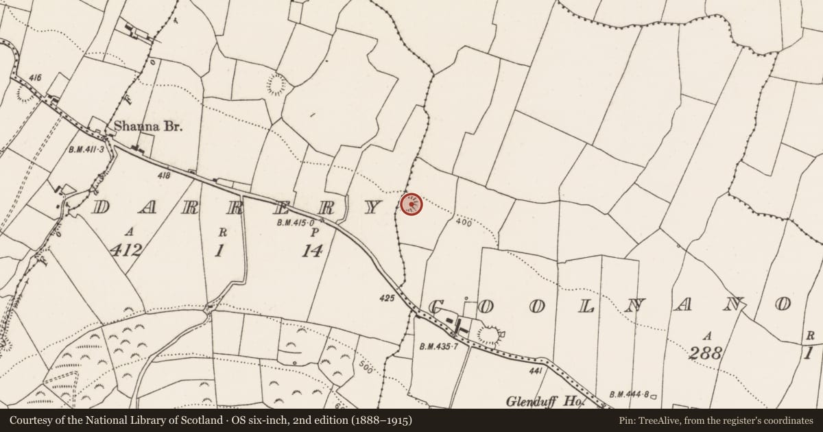 Ordnance Survey six-inch map, 2nd edition (1888–1915) covering the location of Ringfort - rath, Coolnanoglagh, County Limerick, with a pin at the register's coordinates