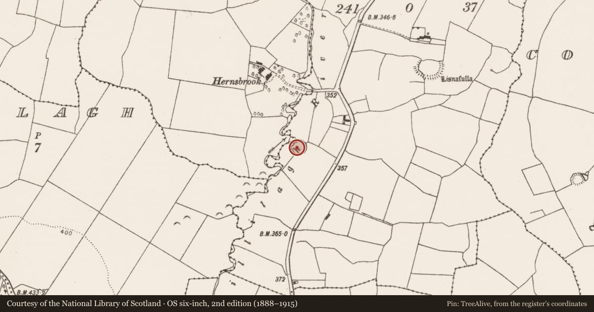 Ordnance Survey six-inch map, 2nd edition (1888–1915) covering the location of Ringfort - rath, Lisnafulla, County Limerick, with a pin at the register's coordinates