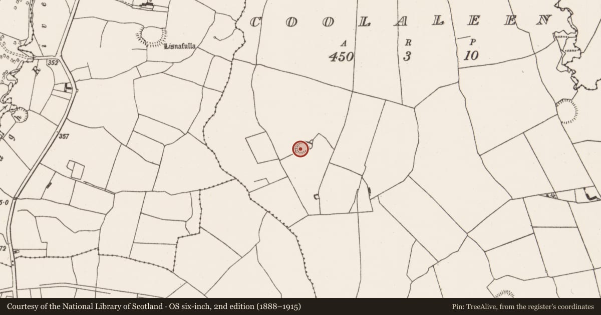 Ordnance Survey six-inch map, 2nd edition (1888–1915) covering the location of Ringfort - rath, Coolaleen, County Limerick, with a pin at the register's coordinates
