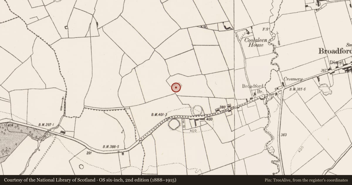 Ordnance Survey six-inch map, 2nd edition (1888–1915) covering the location of Ringfort - rath, Coolaleen, County Limerick, with a pin at the register's coordinates
