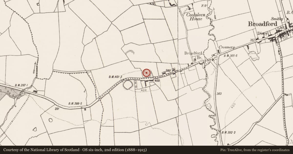 Ordnance Survey six-inch map, 2nd edition (1888–1915) covering the location of Ringfort - rath, Coolaleen, County Limerick, with a pin at the register's coordinates