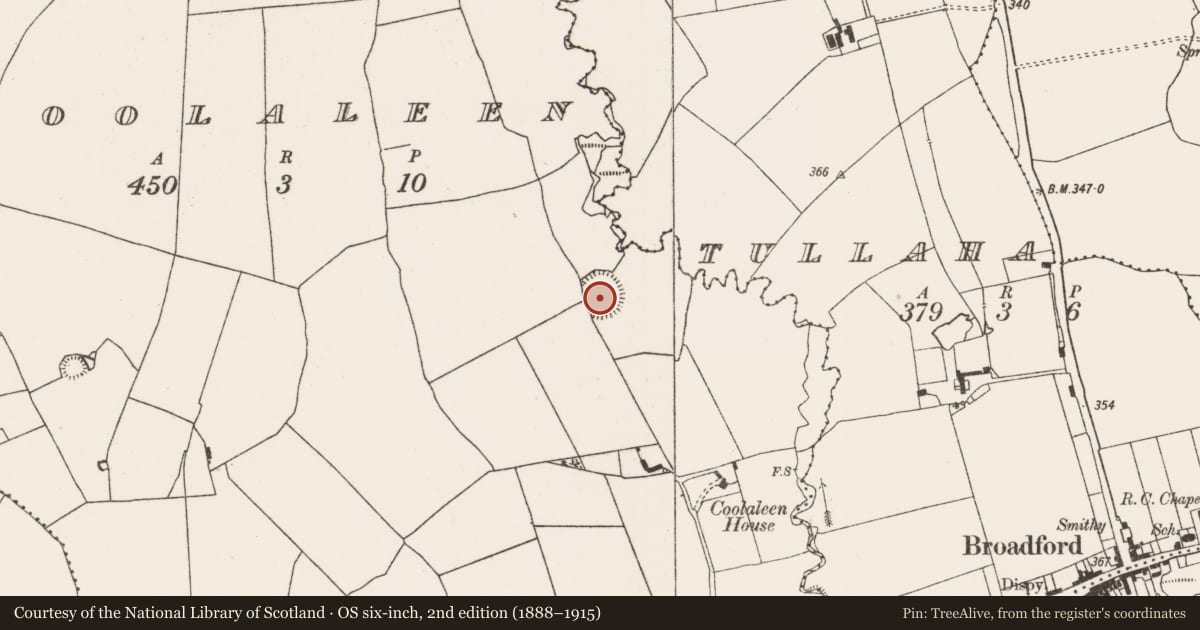 Ordnance Survey six-inch map, 2nd edition (1888–1915) covering the location of Ringfort - rath, Coolaleen, County Limerick, with a pin at the register's coordinates