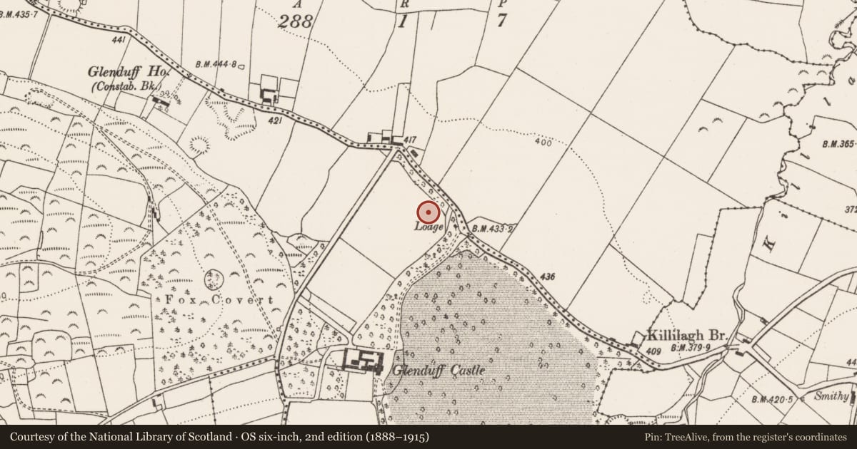 Ordnance Survey six-inch map, 2nd edition (1888–1915) covering the location of Ringfort - rath, Glenduff, County Limerick, with a pin at the register's coordinates