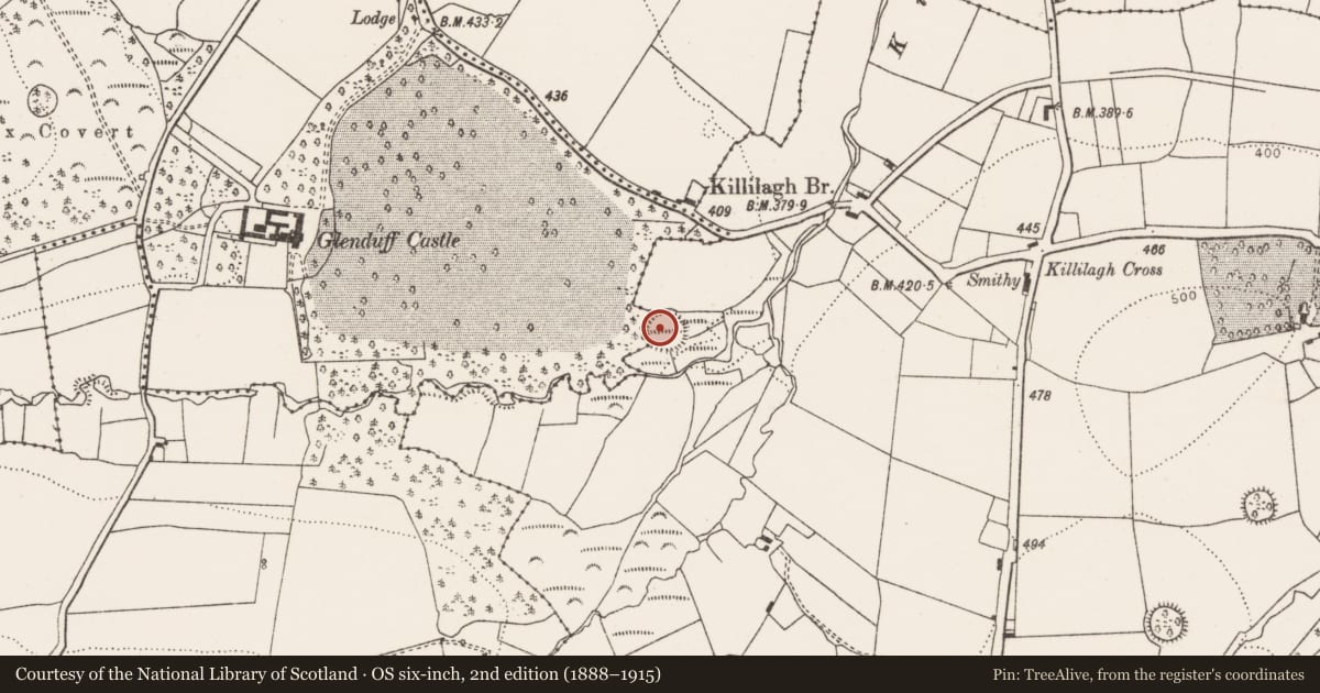 Ordnance Survey six-inch map, 2nd edition (1888–1915) covering the location of Ringfort - rath, Mountplummer, County Limerick, with a pin at the register's coordinates