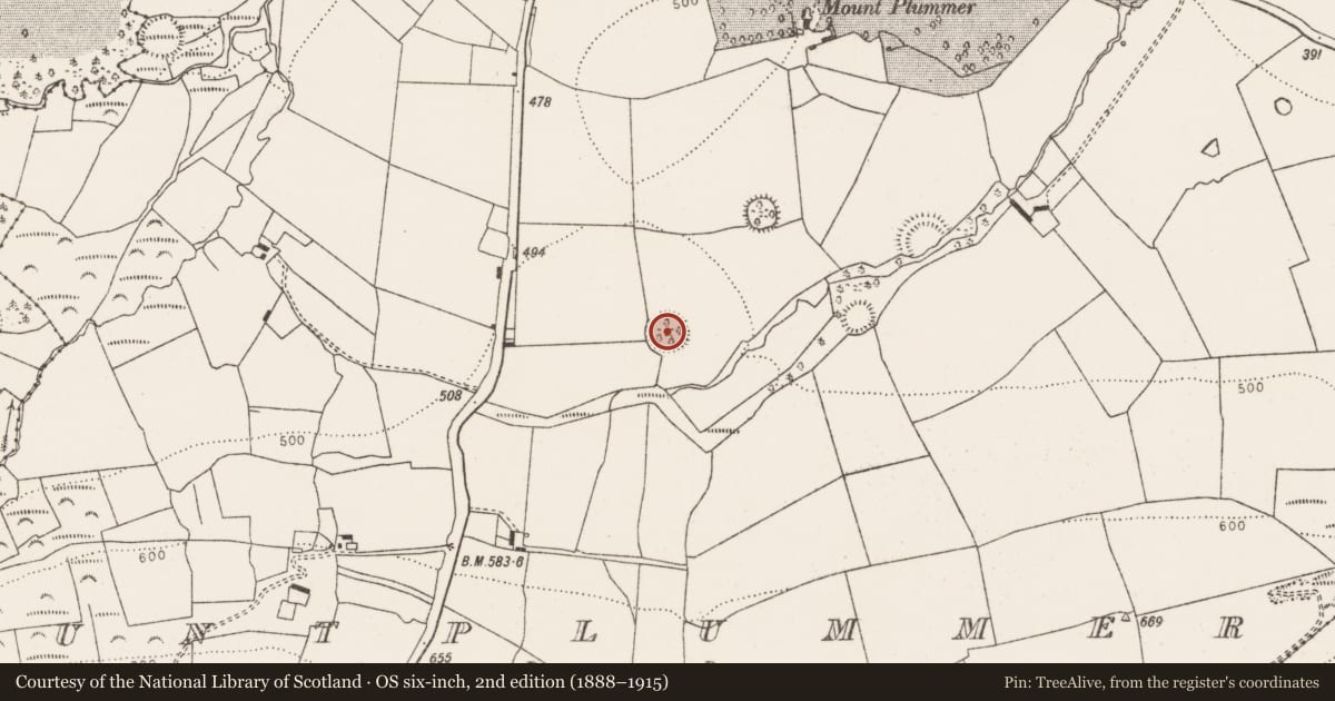 Ordnance Survey six-inch map, 2nd edition (1888–1915) covering the location of Ringfort - rath, Mountplummer, County Limerick, with a pin at the register's coordinates
