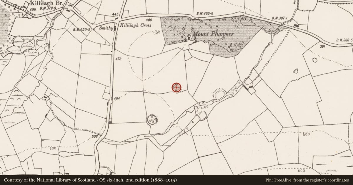 Ordnance Survey six-inch map, 2nd edition (1888–1915) covering the location of Ringfort - rath, Mountplummer, County Limerick, with a pin at the register's coordinates